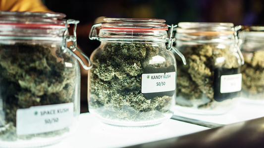 21 Black Woman Owned Cannabis Stores To Visit In 2024